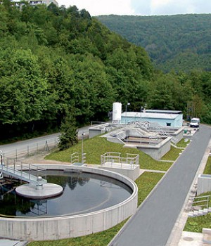 Jedenáct věcí, které by Krňáci měli vědět o Adamově