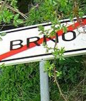 Ústavní soud: Brno je nelegální