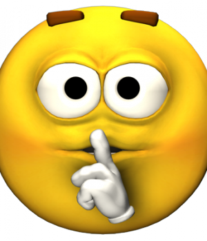 N.E.P.O.V.Í.M. Unikátní projekt na posílení verbální priority “O”